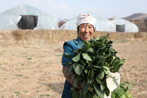 洪河村群眾的心里話：脫貧致富，計(jì)劃得先行