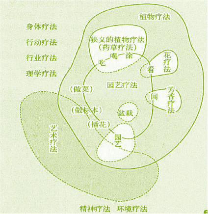 【防疫科普】如何利用園藝療法保持復工后身心健康？