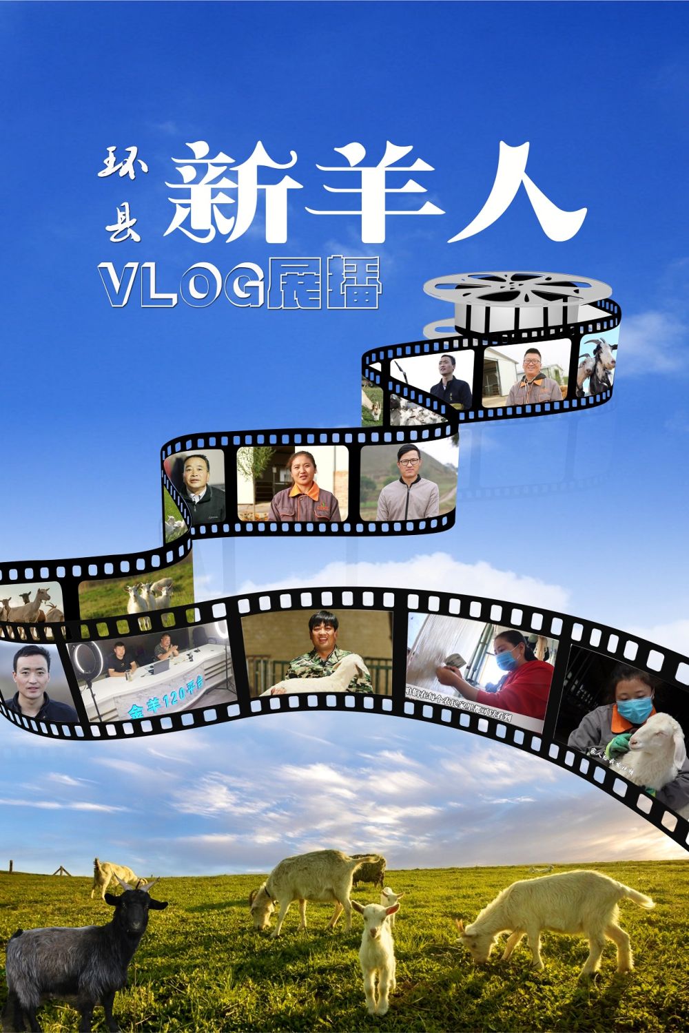 【環(huán)縣“新羊人”VLOG展播】馬偉洲：村里年輕致富人