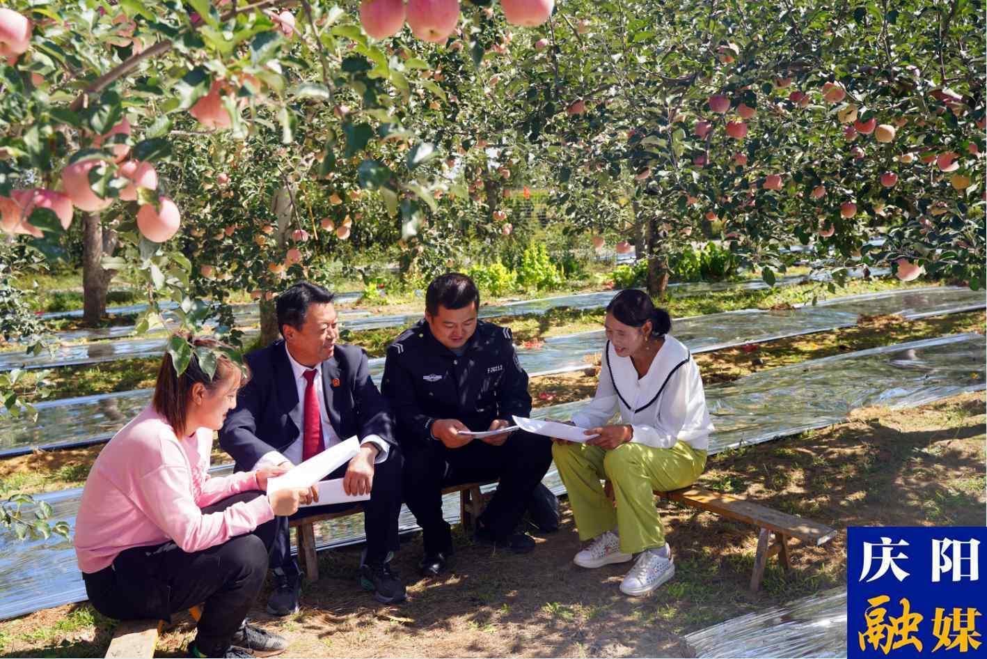 司法為民 服務群眾——甘肅慶城縣人民法院開展“為群眾辦實事示范法院”創(chuàng)建活動綜述