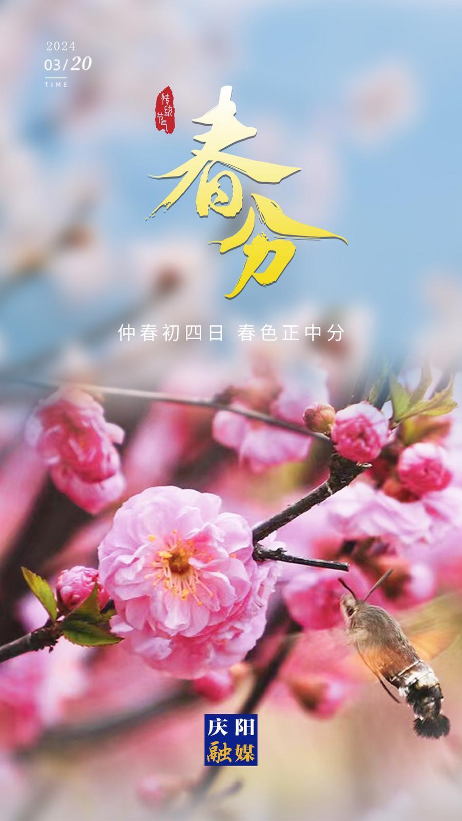 【二十四節(jié)氣·春分】微海報(bào)丨仲春初四日 春色正中分