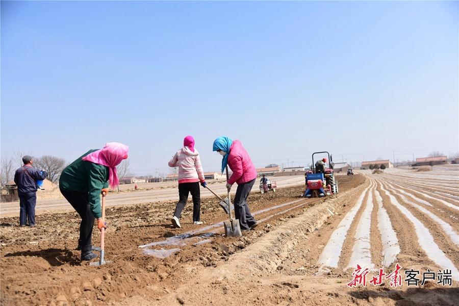 甘肅省慶陽(yáng)市鎮(zhèn)原縣：田間地頭農(nóng)事起