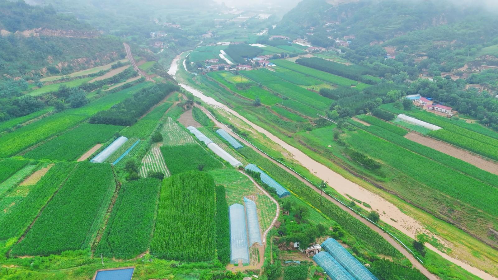 華池縣悅樂鎮(zhèn)：黨建引領(lǐng)村集體經(jīng)濟一路繁花盛開