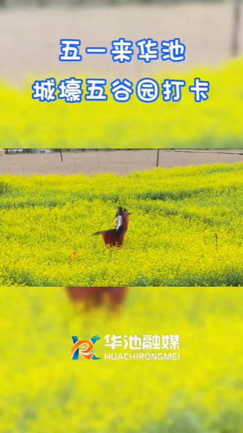 【五一游慶陽】歡迎來華池城壕五谷園打卡??！