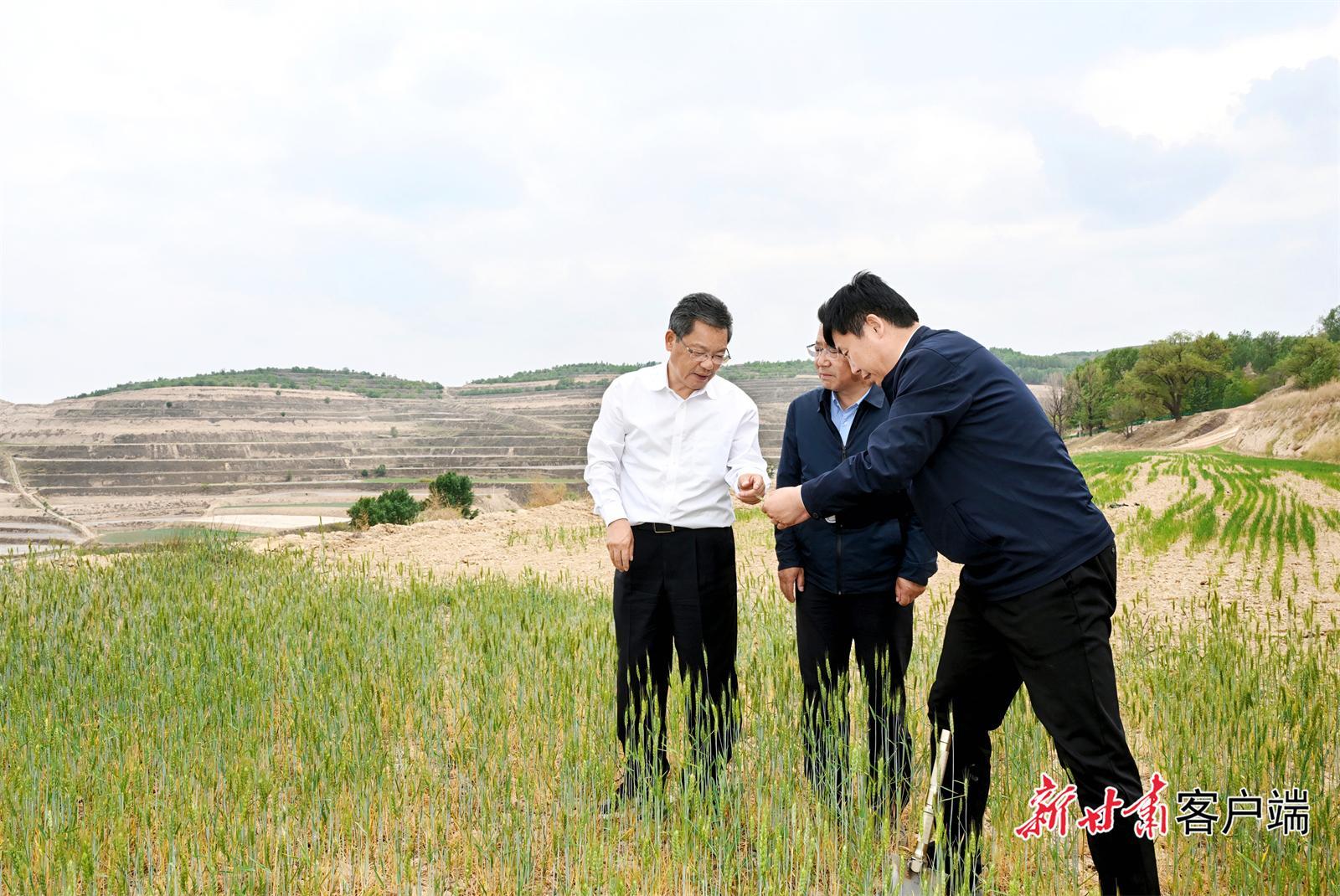 任振鶴在會寧縣靜寧縣調(diào)研抗旱減災(zāi)和群眾身邊不正之風(fēng)和腐敗問題集中整治工作時強調(diào) 打好抗旱減災(zāi)主動仗 用心辦好實事惠民生 不斷加固高質(zhì)量發(fā)展的底板